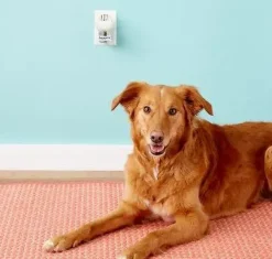 Adaptil Calm Home Diffusor 48 ml til hund