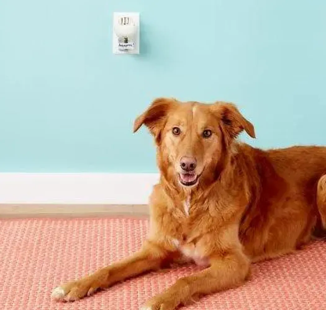 Adaptil Calm Home Diffusor 48 ml til hund