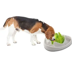 AFP Dog Slow Feeder gaven til hunden
