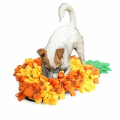 AFP Snusemåtte Ananas til hund 63x42x4 cm