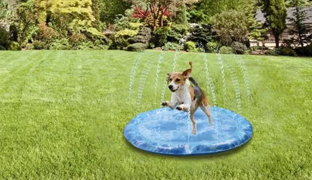 Afp Sprinklermåtte Vandlegetøj til hunde M - flydende vandlegetøj til hunde
