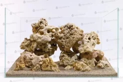Afrikanske Hulsten (Kenya Rock) pr kg