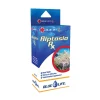 Aiptasia RX 15 ml