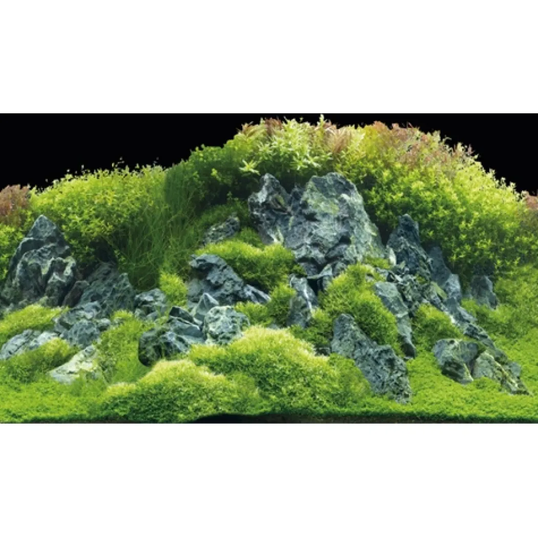 Akvariebaggrund Beplantet flod / Grønne klipper (30 cm høj) 60 cm