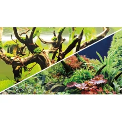 Akvariebaggrund Wood Island / Green secret (30 cm høj) 60 cm