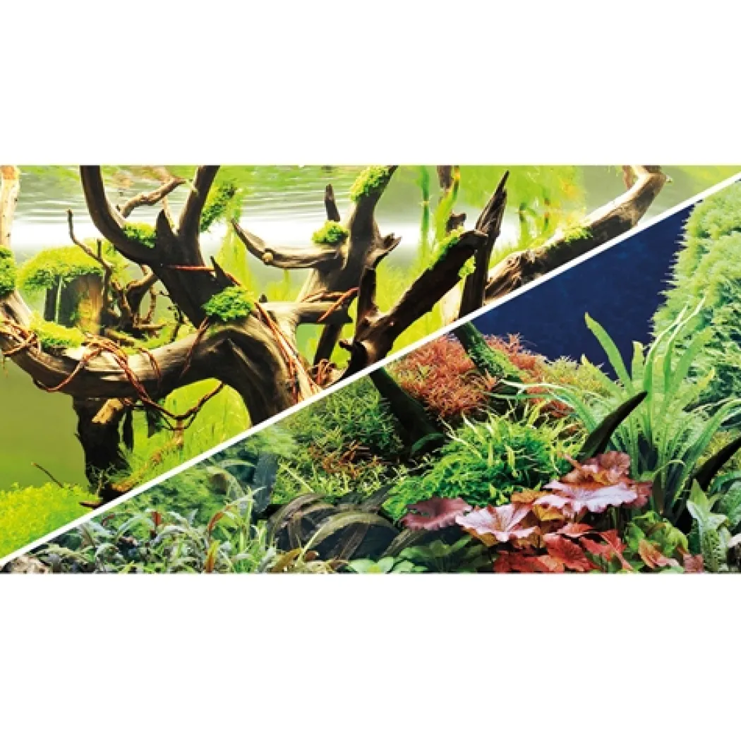 Akvariebaggrund Wood Island / Green secret (50 cm høj) 100 cm