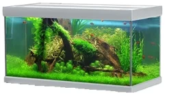Akvastabil Fusion 325 liter akvarium