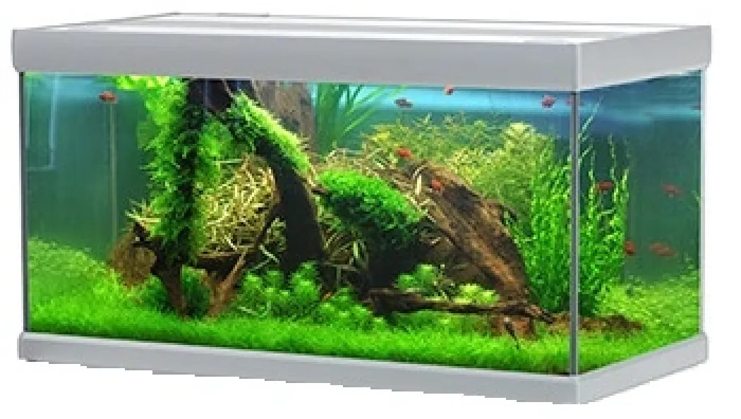 Akvastabil Fusion 720 liter akvarium