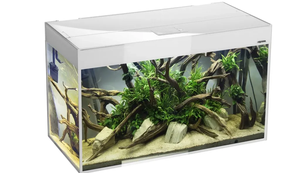 AquaEl Glossy akvarie i Hvid 120 cm 260 Liter