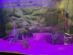 AquaLight LED Lampe Super Bright 16 Farver 51 cm 10 watt