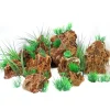 Aquascaping sten Maple Leaf pr kg