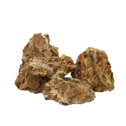 Aquascaping sten Maple Leaf pr kg