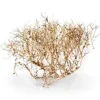 Aquascaping Root 35-45 cm