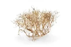 Aquascaping Root 35-45 cm