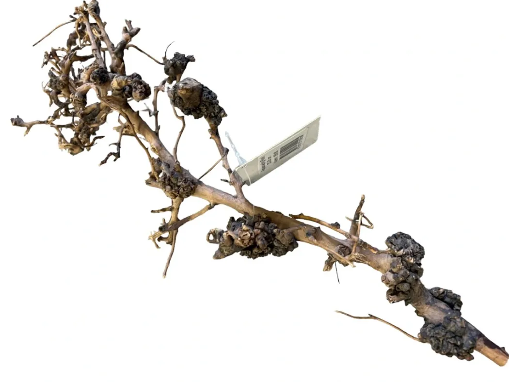 Aquascaping Root 25-35 cm