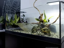 Aqua Terrarium 100x35x40,5 cm til Sumpskildpadder