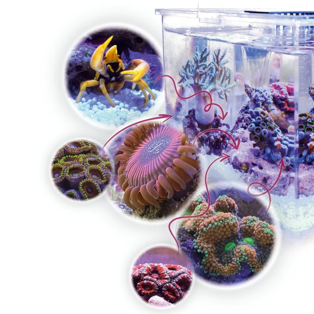 Armatus XS Saltvandsakvarium med sump 4 Liter