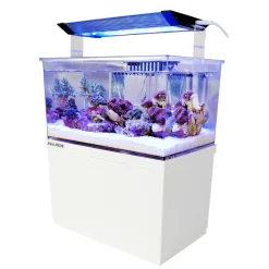 Armatus XS Saltvandsakvarium med sump 4 Liter