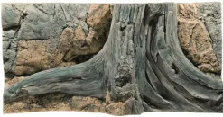 Back to Nature Amazonas 100 cm