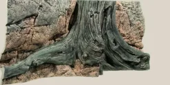 Back to Nature Amazonas 120 cm