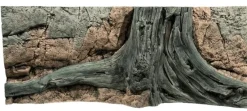 Back to Nature Amazonas 120 cm