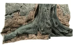 Back to Nature Amazonas 120 cm