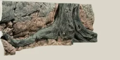 Back to Nature Amazonas 150 cm