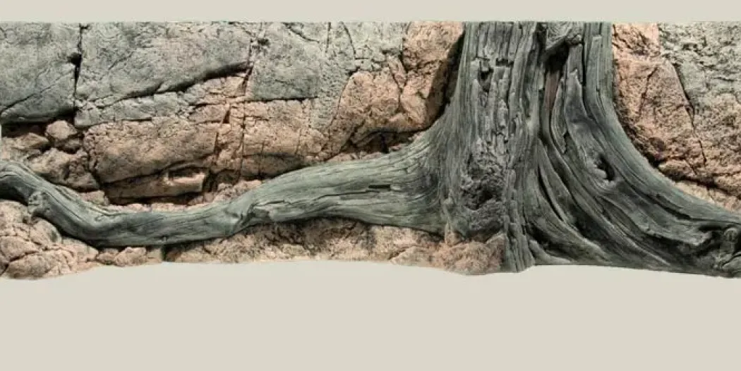 Back to Nature Amazonas 150 cm