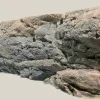 Back to Nature Malawi Granit Rock 200 x 60 cm