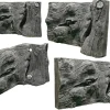 Back to Nature Orinoco Juwel 80 cm