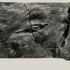 Back to Nature Orinoco Juwel 100x47 cm