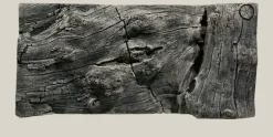 Back to Nature Orinoco Juwel 100x47 cm