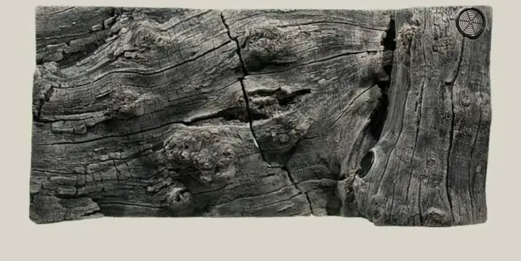 Back to Nature Orinoco Juwel 100x47 cm