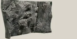 Back to Nature Orinoco Juwel 100x47 cm
