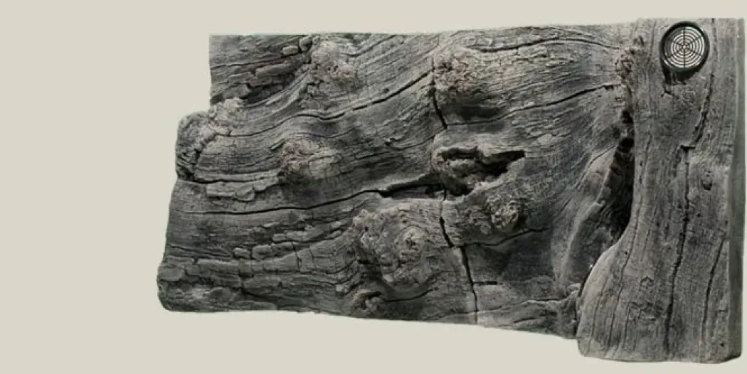 Back to Nature Orinoco Juwel 100x42 cm