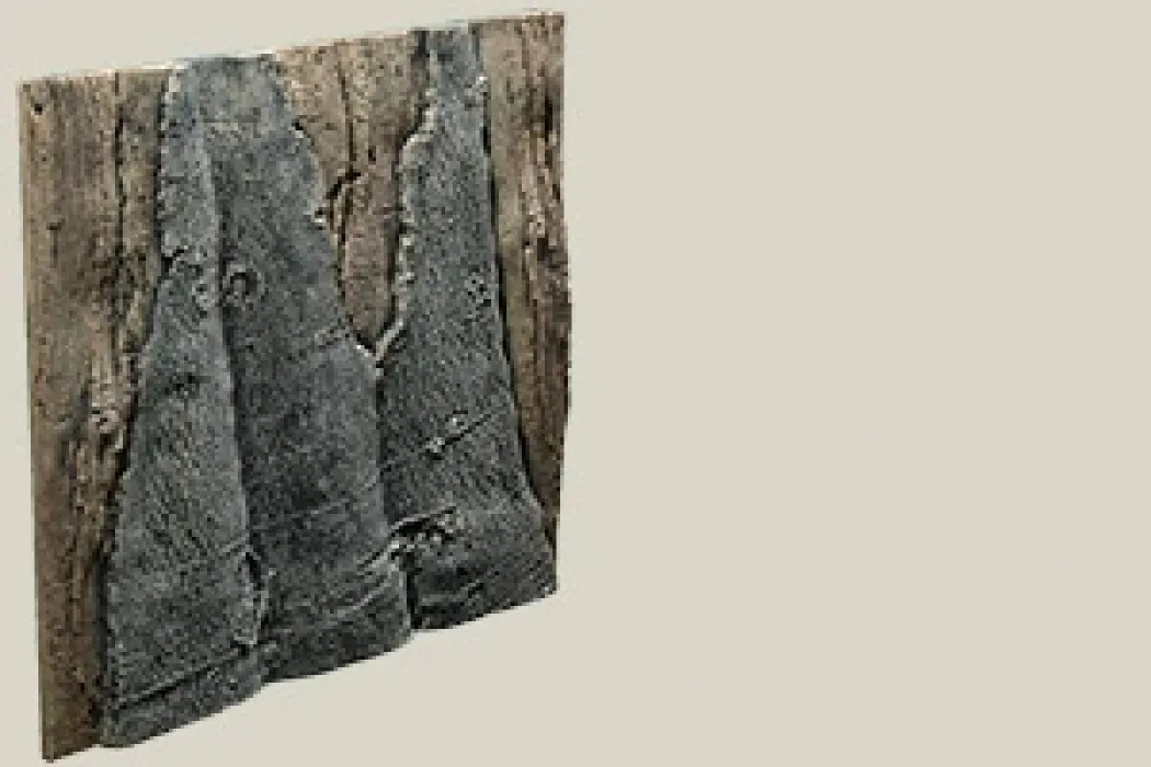 Back to Nature Slim-Line 60 A Amazone (50x55 cm)