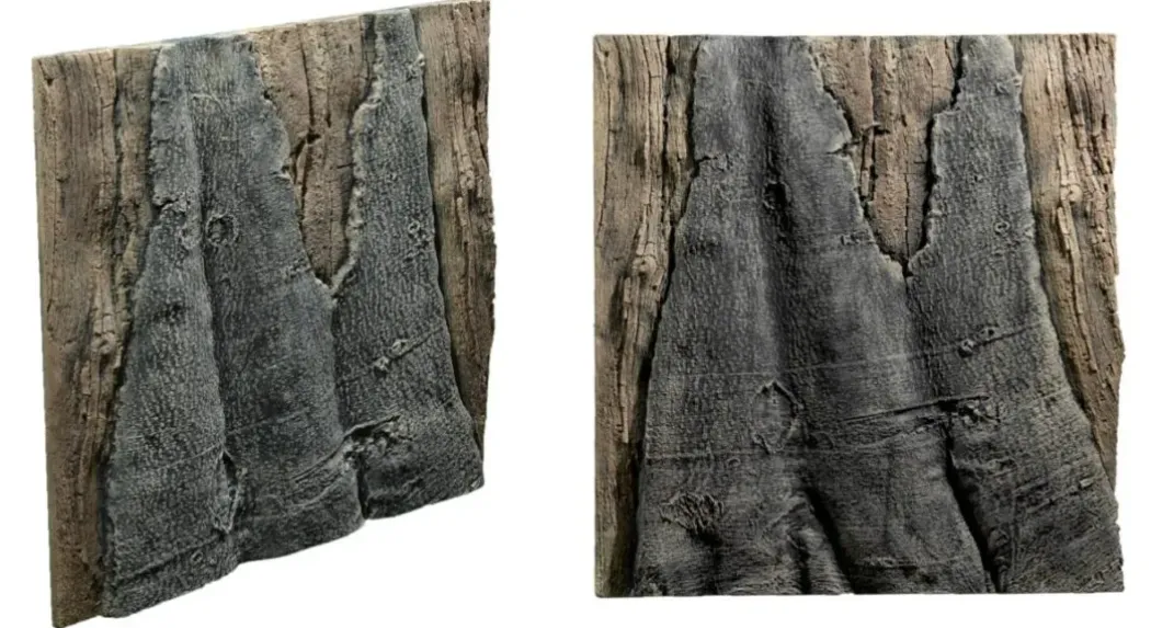 Back to Nature Slim-Line 60 A Amazone (50x55 cm)