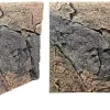 Back to Nature Slim-Line 60 A Basalt/granit (50x55 cm)