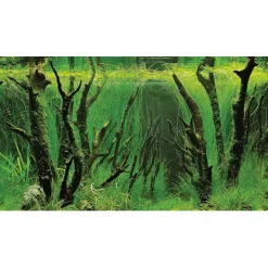 Baggrund til akvarium Canyon og Woodland (30 cm høj) 60 cm