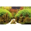 Baggrund til akvarium Canyon og Woodland (50 cm høj) 120 cm