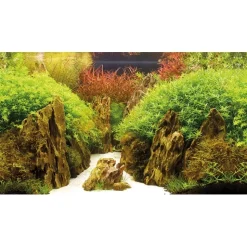 Baggrund til akvarium Canyon og Woodland (50 cm høj) 120 cm
