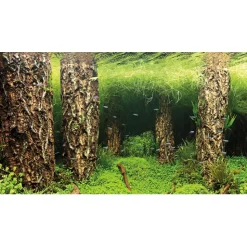 Baggrund til akvarium Scapers Hill og forest (30 cm høj) 60 cm