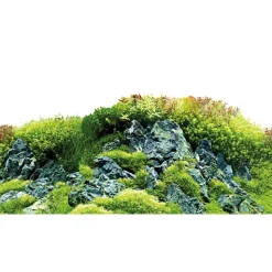 Baggrund til akvarium Scapers Hill og forest (30 cm høj) 60 cm