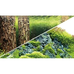 Baggrund til akvarium Scapers Hill og forest (50 cm høj) 100 cm