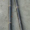 Bambus sort 50 cm