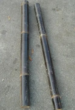 Bambus sort 50 cm