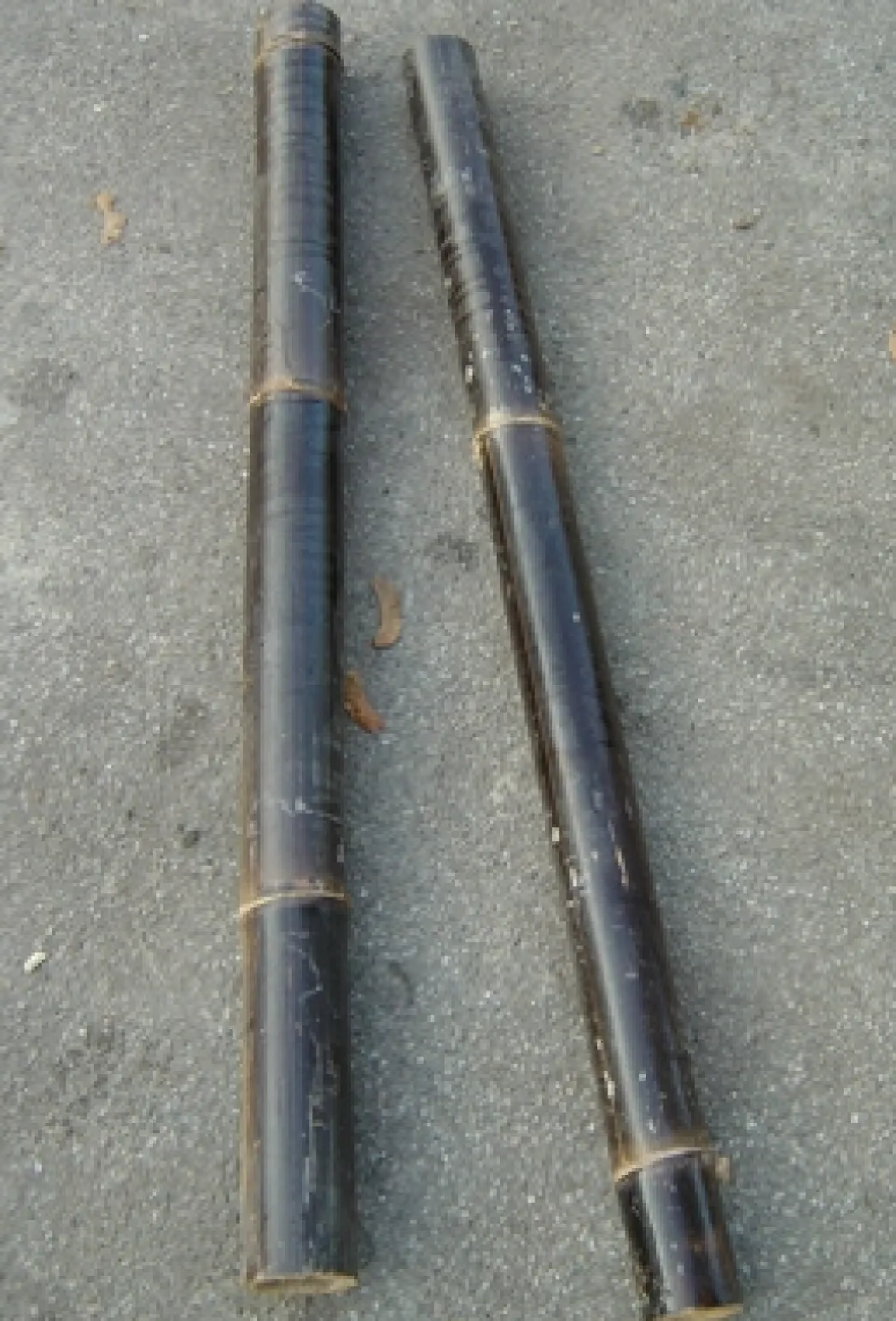 Bambus sort 50 cm