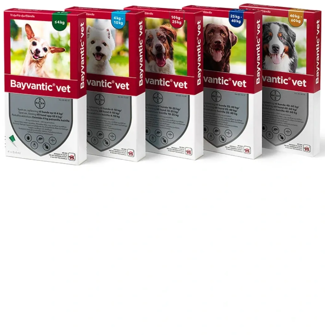 Bayvantic Vet hund 10-25 kg 4 x 2,5 ml