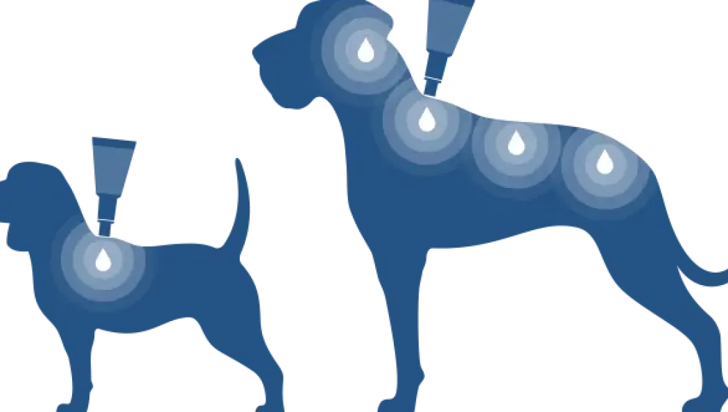 Bayvantic Vet hund 25-40 kg 4 x 4,0 ml