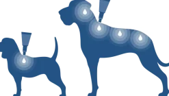 Bayvantic Vet hund 40-60 kg 4 x 6,0 ml